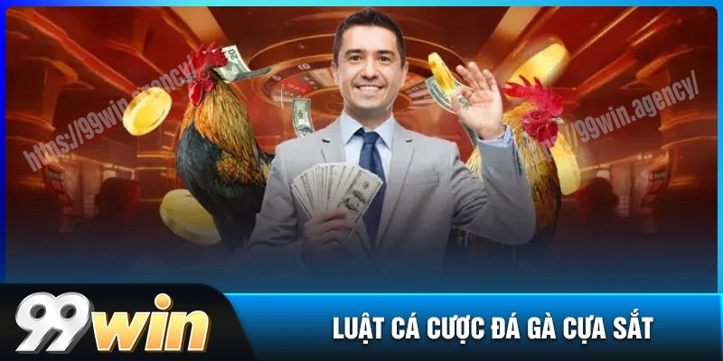 Luật chơi đá gà cựa sắt cơ bản cho tân thủ