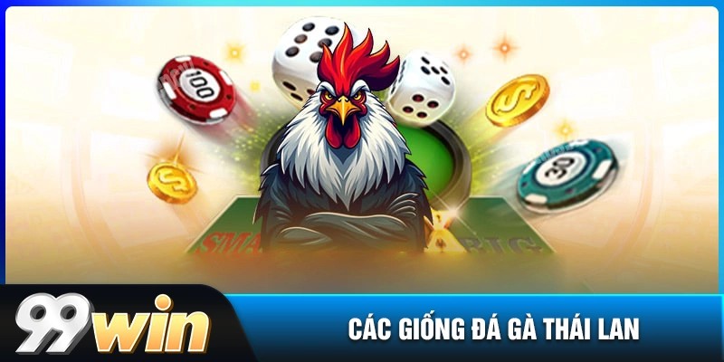 Các giống gà thường có trong đá gà thái lan