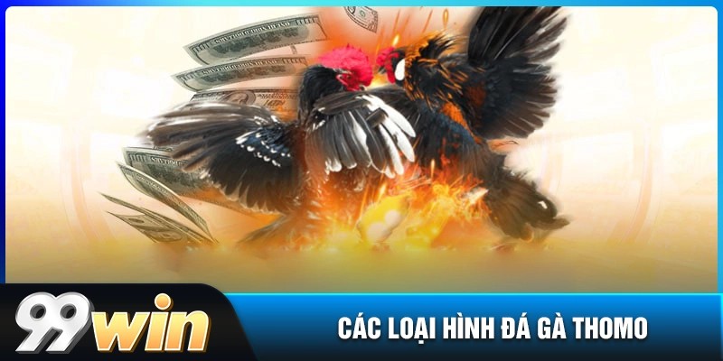 Các loại hình chơi đá gà thomo tại 99win